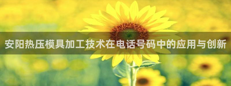 易倍emc网址：安阳热压模具加工技术在电话号码中的应用与