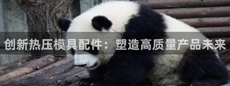 易倍纤怎么使用