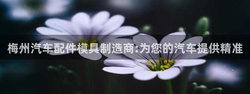 emc易倍全站官网