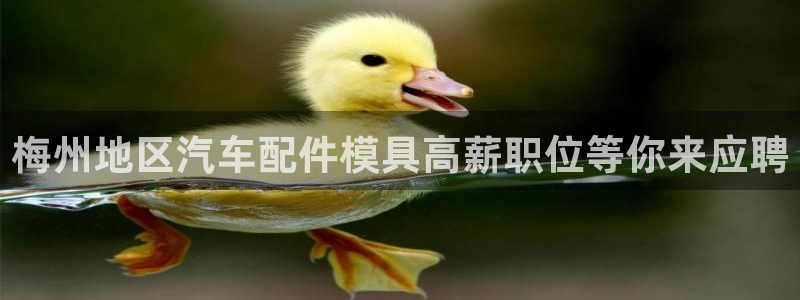 易倍网页版登录