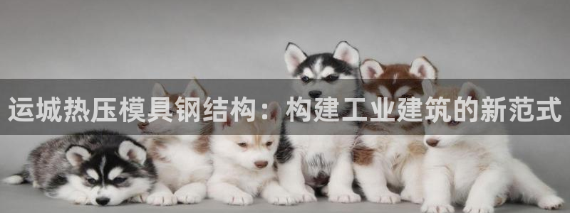 易倍下载地址:运城热压模具钢结构:构建工业建筑的新范式