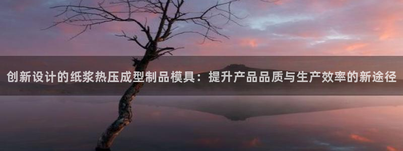 emc易倍官网：创新设计的纸浆热压成型制品模具：提升产品