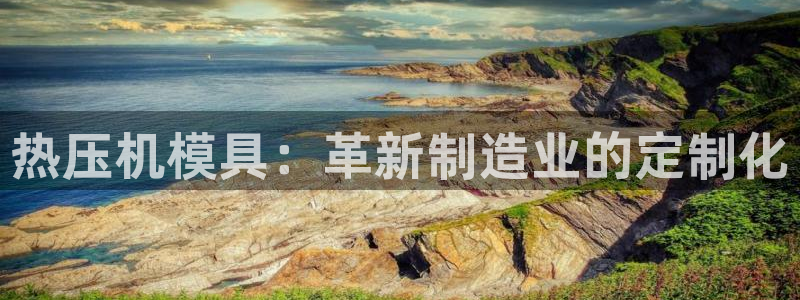 易倍纤使用方法:热压机模具:革新制造业的定制化