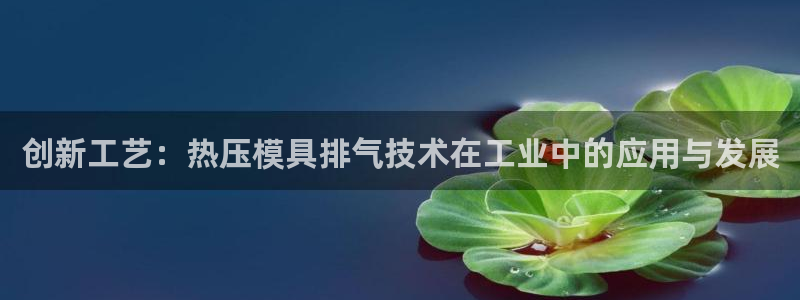 易倍易倍单词官方网站:创新工艺:热压模具排气技术在工业中