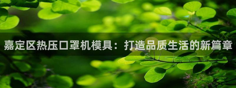 易倍申上市时间：嘉定区热压口罩机模具：打造品质生活的新篇