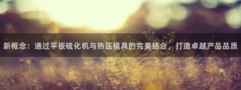 emc易倍官网首页：新概念：通过平板硫化机与热压模具的完