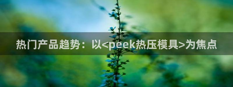 emc倍频：热门产品趋势：以<peek热压模具>为焦点