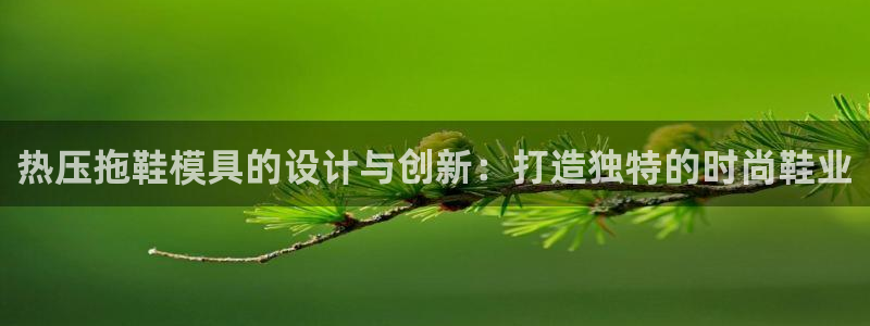 易倍单词官方网站登录：热压拖鞋模具的设计与创新：打造独特