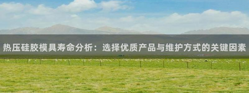 emc测试频率范围:热压硅胶模具寿命分析:选择优质产品与