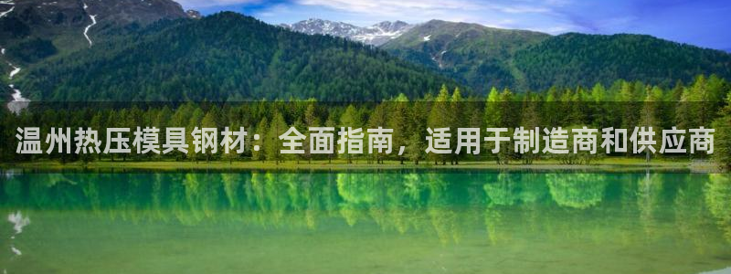 易倍纤使用方法：温州热压模具钢材：全面指南，适用于制造商