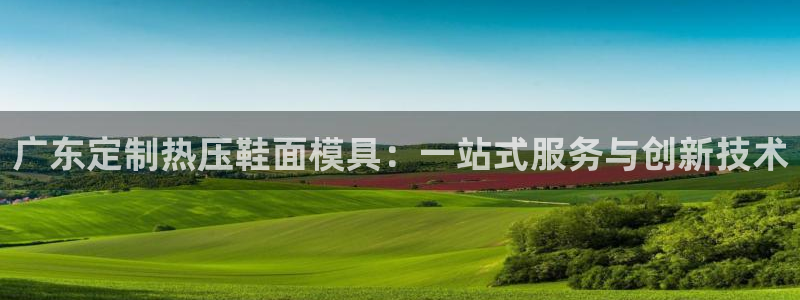 易倍达科技有限公司代运营：广东定制热压鞋面模具：一站式服