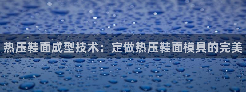 易倍申多少钱一盒：热压鞋面成型技术：定做热压鞋面模具的完
