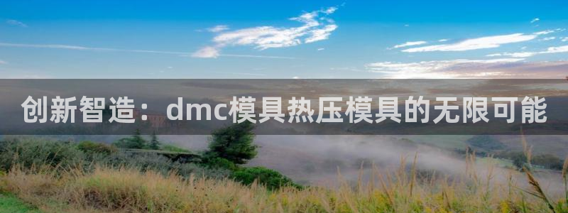 易倍纤代餐粉能减肥吗:创新智造:dmc模具热压模具的无限