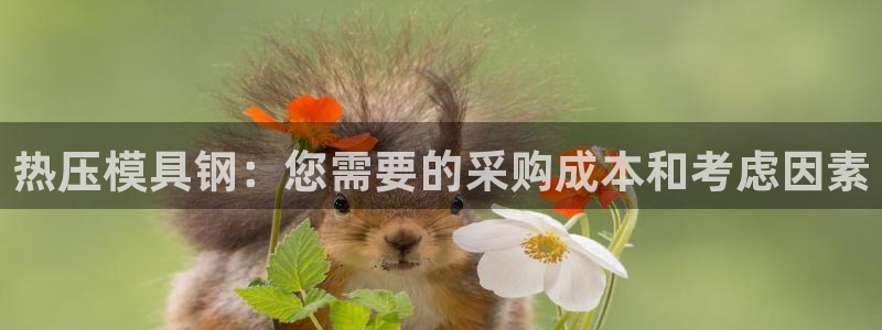 emc易倍官网首页