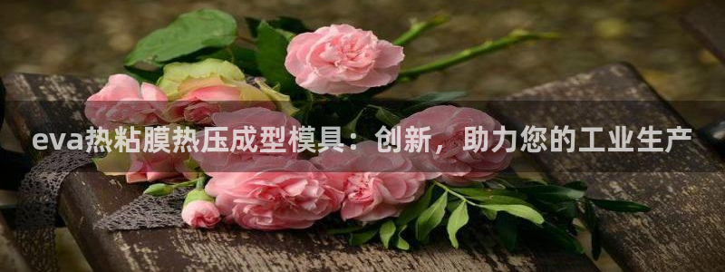 emc易倍老板：eva热粘膜热压成型模具：创新，助力您的