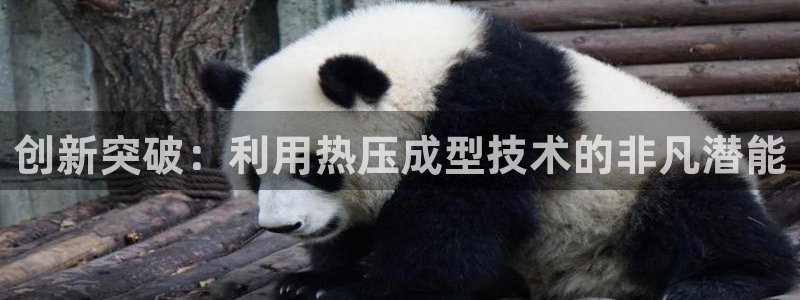 易倍app官网下载安装