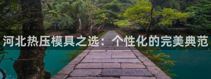 EMC倍频系数：河北热压模具之选：个性化的完美典范