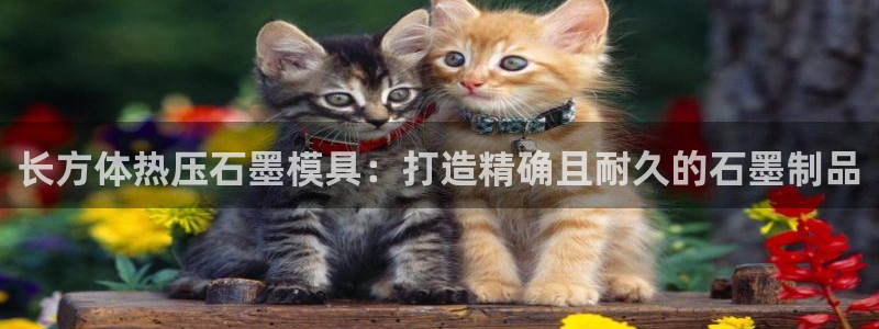 易倍单词app下载