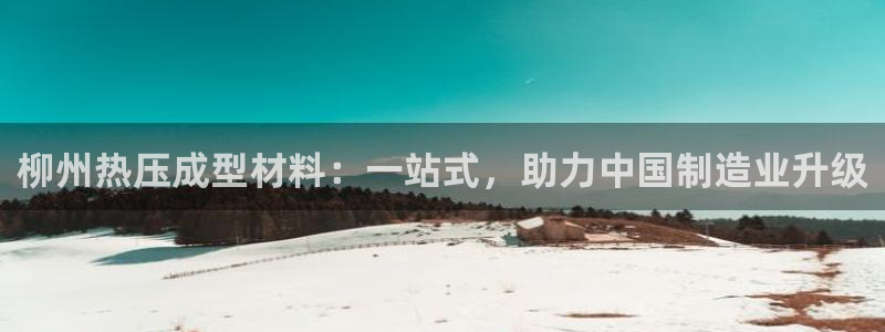 易倍电竞安装教程：柳州热压成型材料：一站式，助力中国制造