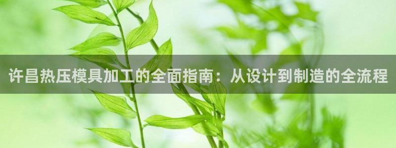 emc易倍官网登录首页:许昌热压模具加工的全面指南:从设