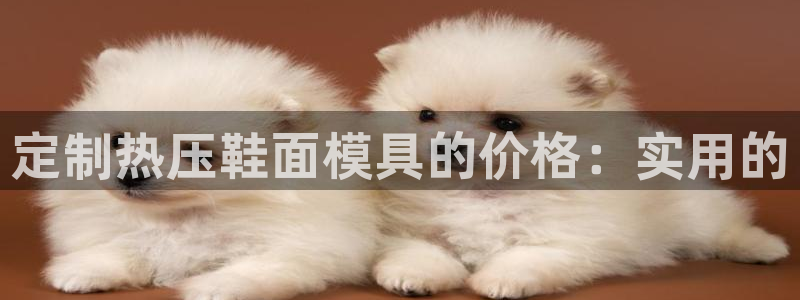 易倍申的包装规格：定制热压鞋面模具的价格：实用的