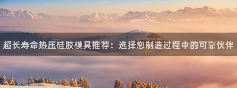 易倍申可以长期服用吗：超长寿命热压硅胶模具推荐：选择您制