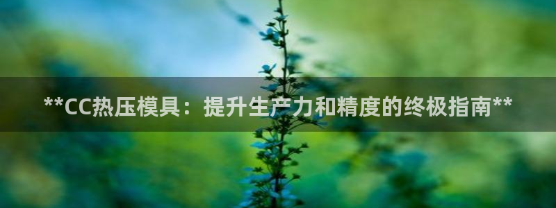 易倍申片：**CC热压模具：提升生产力和精度的终极指南*