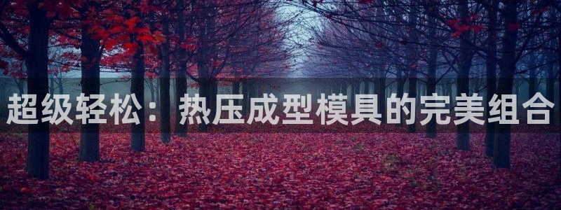 易倍纤使用方法：超级轻松：热压成型模具的完美组合