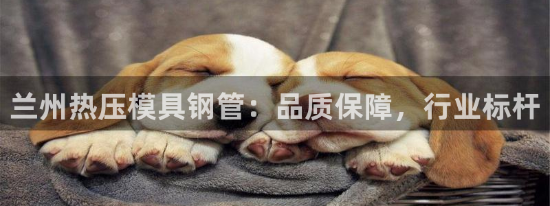 emc易倍最新链接