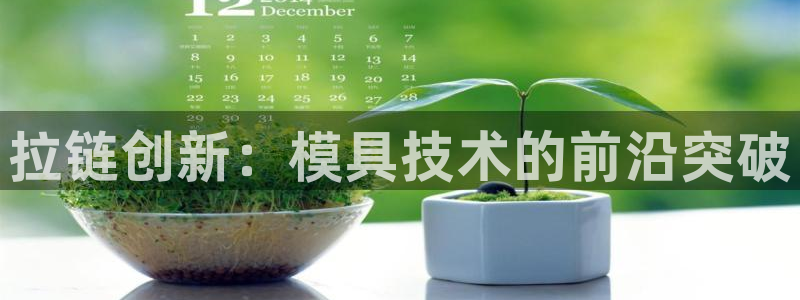 易倍EMC网址：拉链创新：模具技术的前沿突破