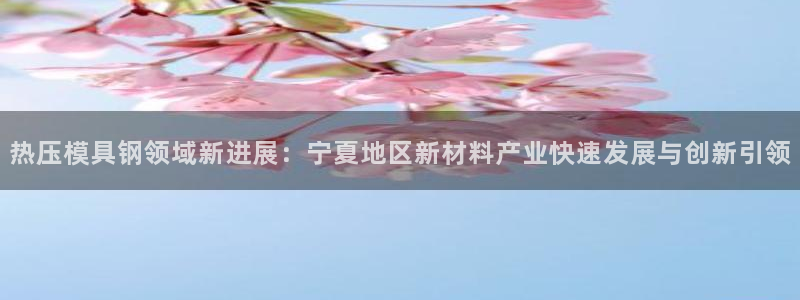 易倍app网站：热压模具钢领域新进展：宁夏地区新材料产业