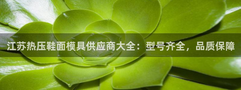 emc频率范围：江苏热压鞋面模具供应商大全：型号齐全，品