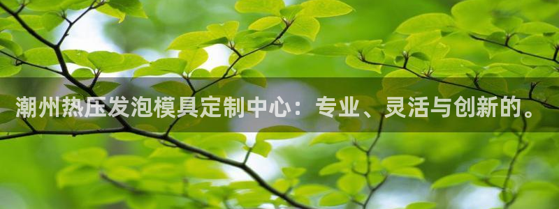 易倍下载：潮州热压发泡模具定制中心：专业、灵活与创新的。