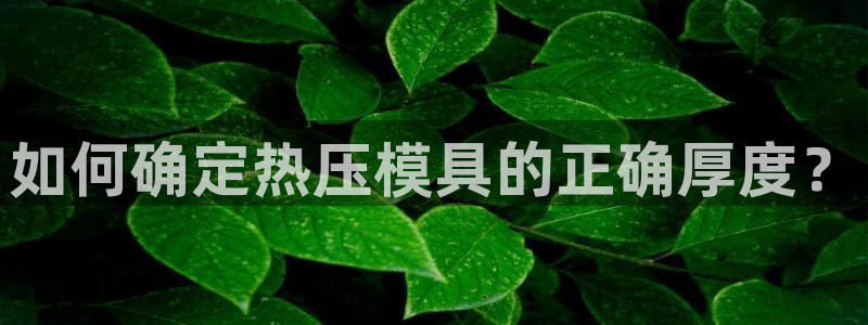 易倍思教育：如何确定热压模具的正确厚度？