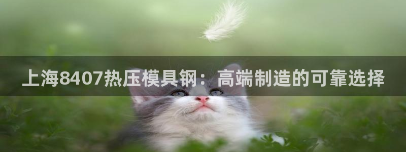 易倍申服用方法：上海8407热压模具钢：高端制造的可靠选