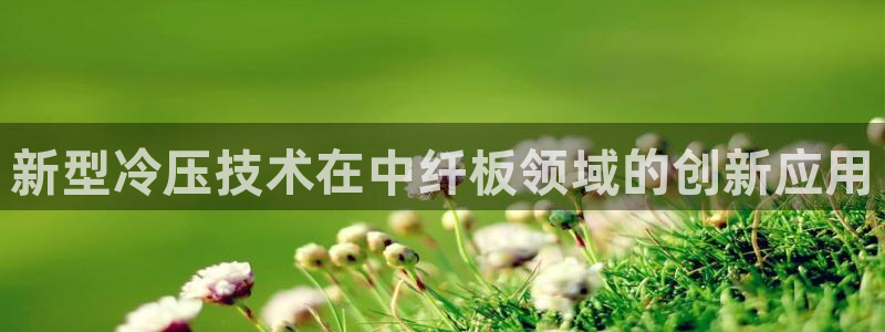 易倍单词官方网站下载：新型冷压技术在中纤板领域的创新应用