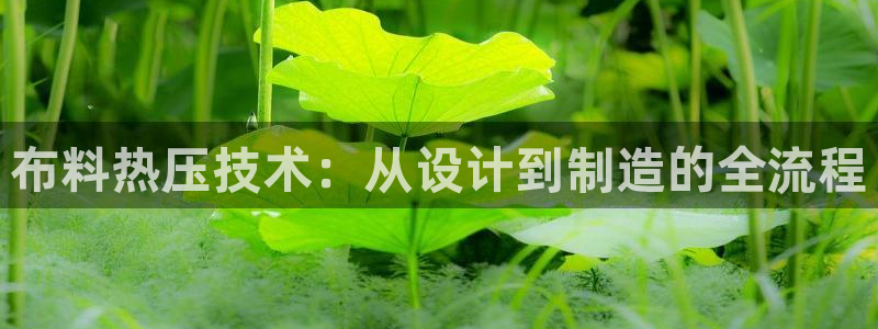 易倍网络技术有限公司怎么样：布料热压技术：从设计到制造的