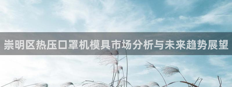 易倍单词登录平台：崇明区热压口罩机模具市场分析与未来趋势