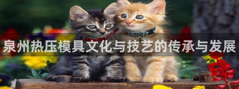 emc易倍账号异常：泉州热压模具文化与技艺的传承与发展